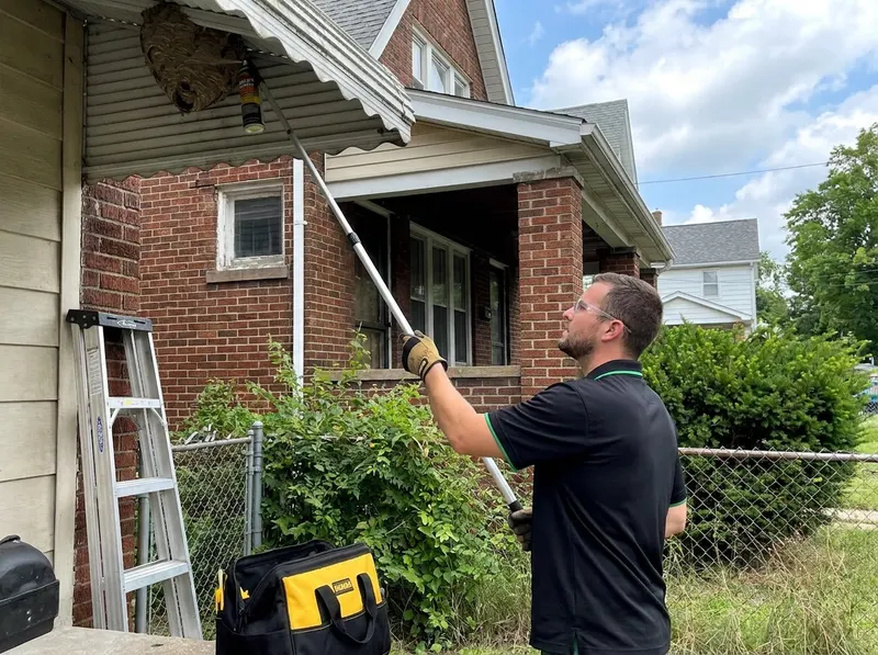 Exterior Stinging Insect Removal in Cleveland, oh
